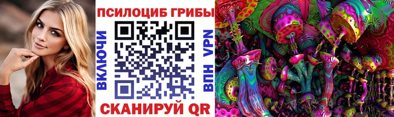 Купить  Гдов  Псилоцибиновые грибы мицелий 